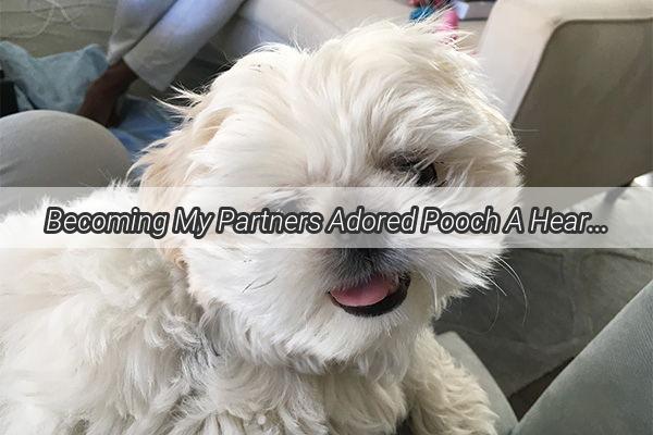 Becoming My Partners Adored Pooch A Heartwarming Transformation of Love and Loyalty